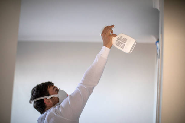 Best Water Damage Restoration  in Fayetteville, WV