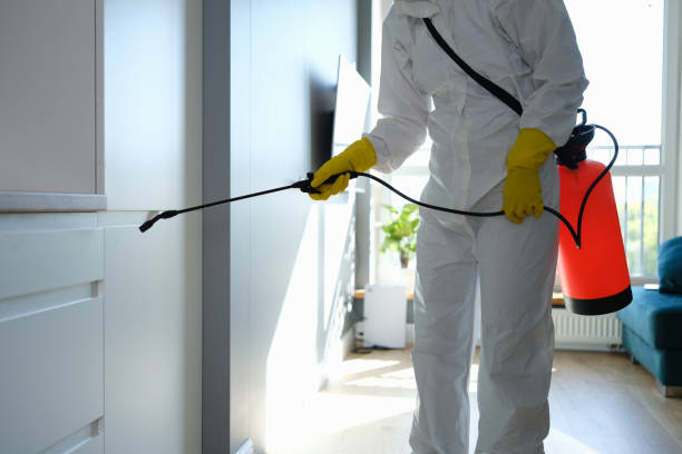 Best Mold Remediation  in Fayetteville, WV