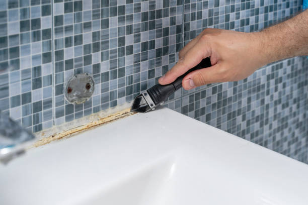 Best Best Mold Removal Companies  in Fayetteville, WV