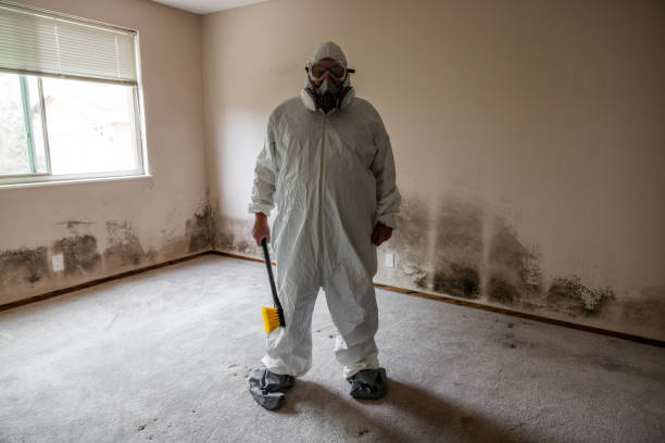 Crawl Space Mold Removal in Fayetteville, WV